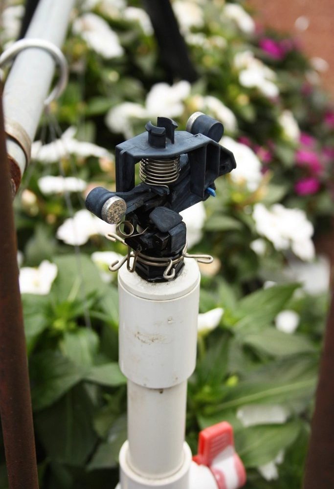 A sprinkler head watering plants in a cultivated field
